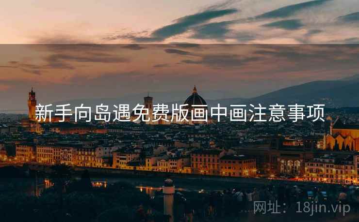 新手向岛遇免费版画中画注意事项
