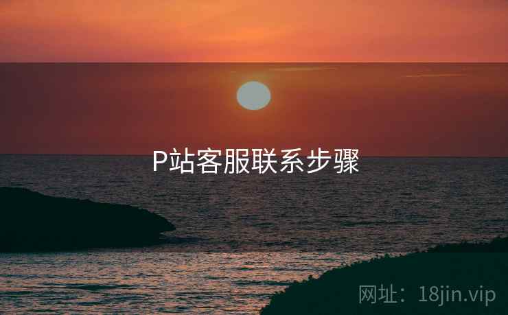 P站客服联系步骤
