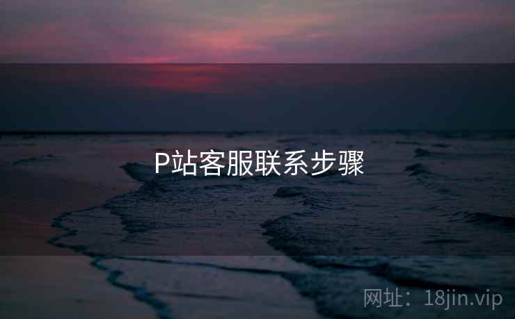 P站客服联系步骤