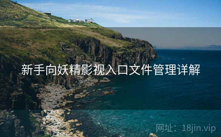 新手向妖精影视入口文件管理详解