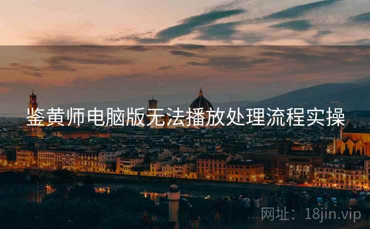 鉴黄师电脑版无法播放处理流程实操