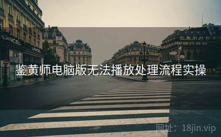 鉴黄师电脑版无法播放处理流程实操