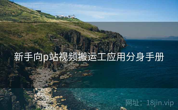 新手向p站视频搬运工应用分身手册