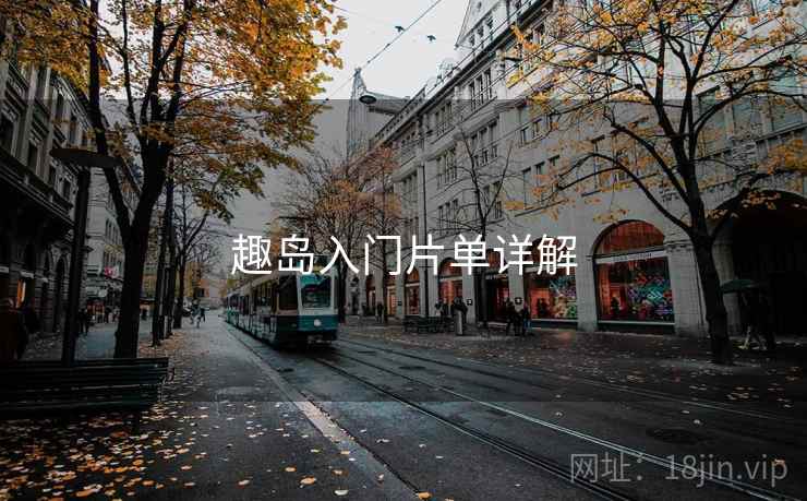 趣岛入门片单详解