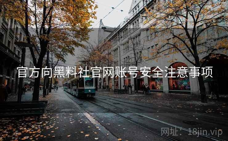 官方向黑料社官网账号安全注意事项 官方向黑料社官网账号安全注意事项