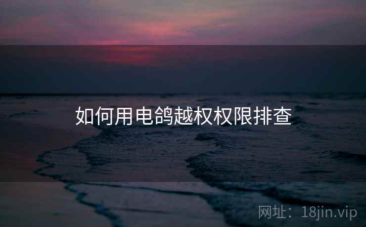 如何用电鸽越权权限排查
