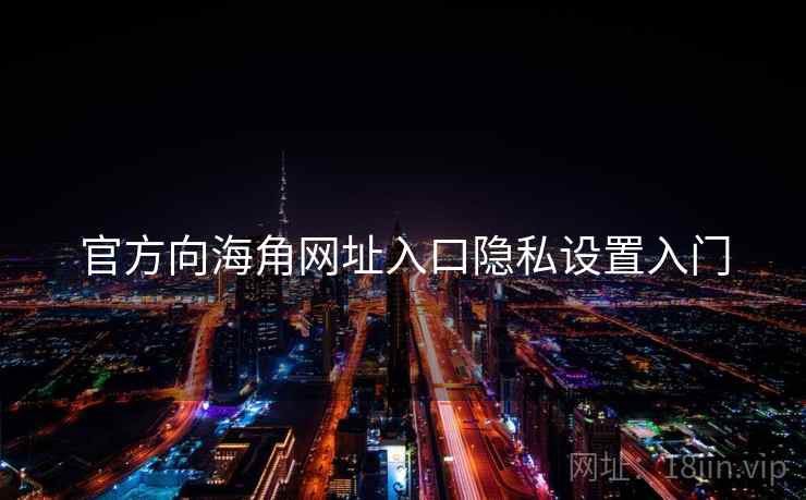 官方向海角网址入口隐私设置入门