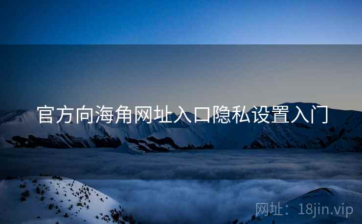 官方向海角网址入口隐私设置入门