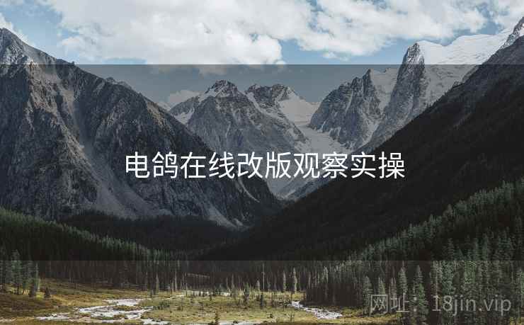 电鸽在线改版观察实操
