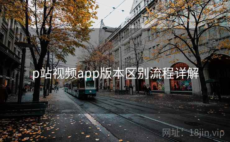 p站视频app版本区别流程详解