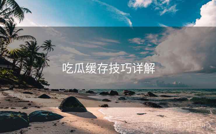 吃瓜缓存技巧详解