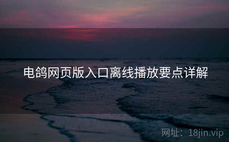 电鸽网页版入口离线播放要点详解