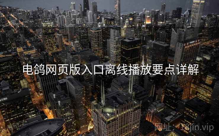 电鸽网页版入口离线播放要点详解