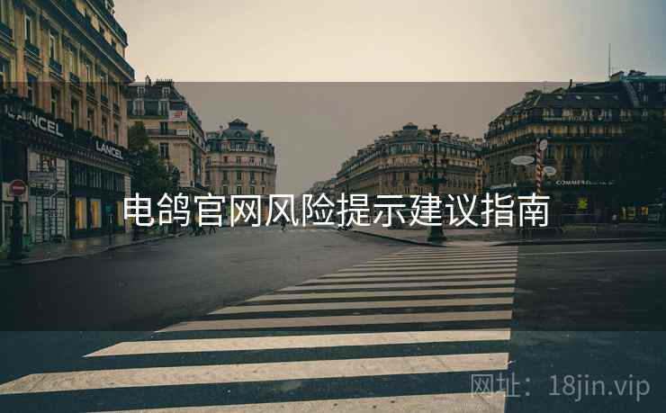电鸽官网风险提示建议指南