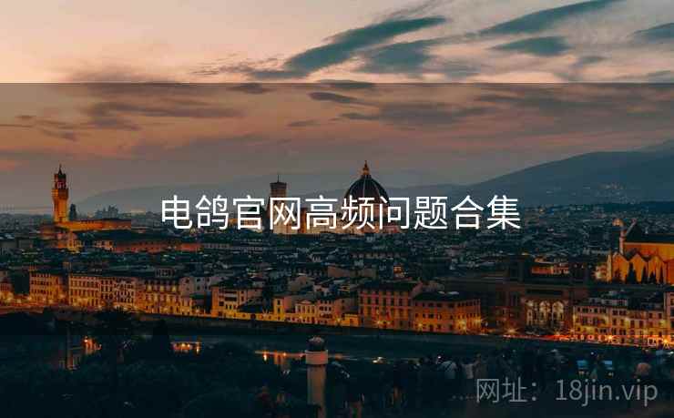电鸽官网高频问题合集
