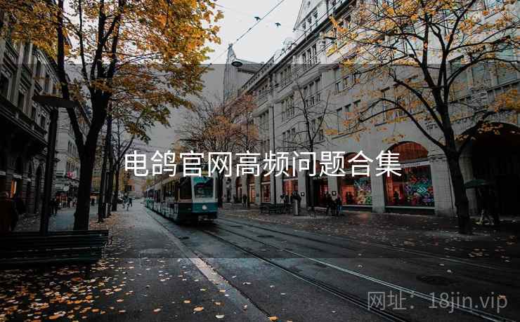 电鸽官网高频问题合集