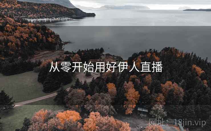 从零开始用好伊人直播