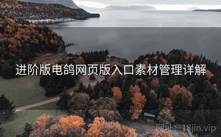 进阶版电鸽网页版入口素材管理详解