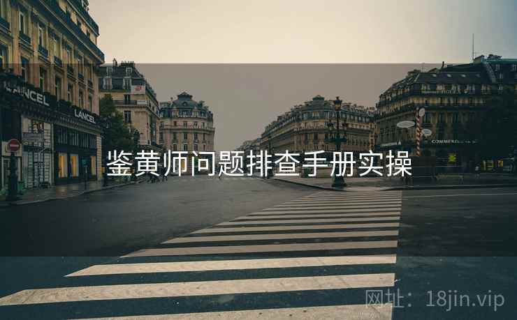 鉴黄师问题排查手册实操