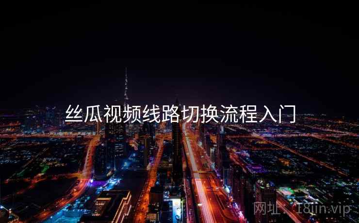 丝瓜视频线路切换流程入门