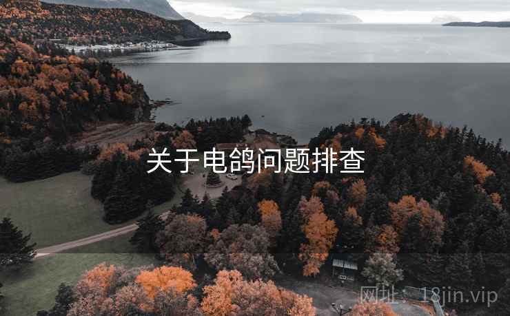 关于电鸽问题排查
