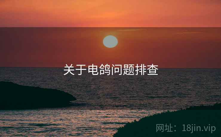 关于电鸽问题排查
