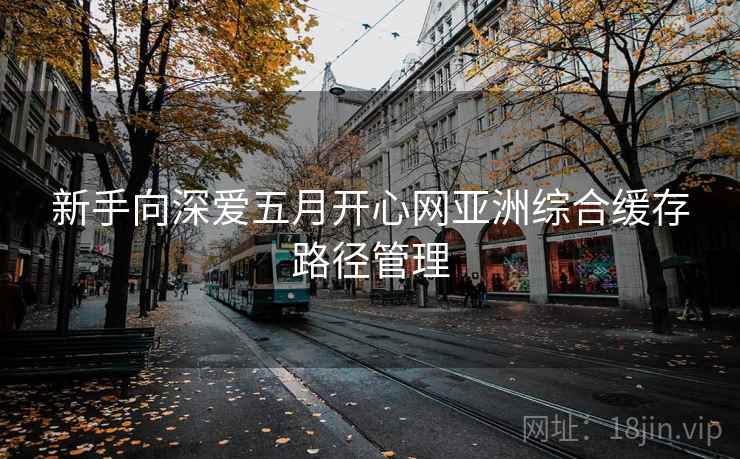 新手向深爱五月开心网亚洲综合缓存路径管理