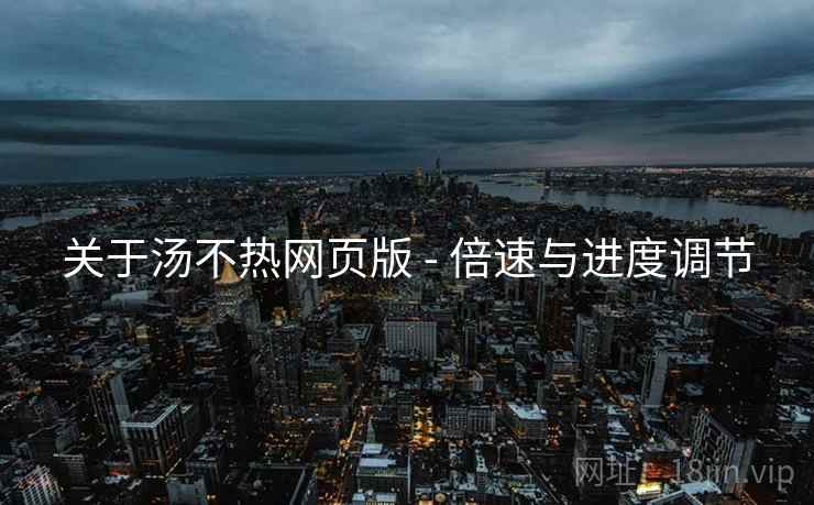 关于汤不热网页版 - 倍速与进度调节