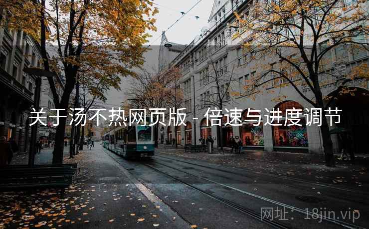 关于汤不热网页版 - 倍速与进度调节