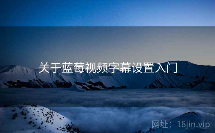 关于蓝莓视频字幕设置入门