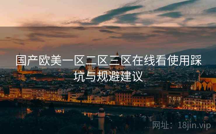 国产欧美一区二区三区在线看使用踩坑与规避建议