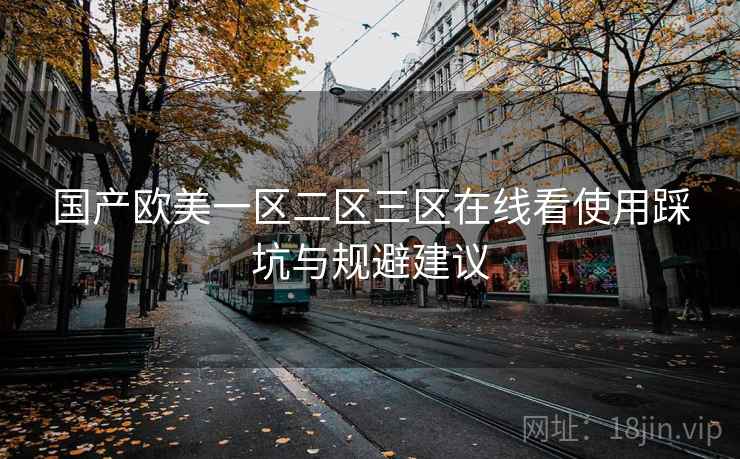 国产欧美一区二区三区在线看使用踩坑与规避建议