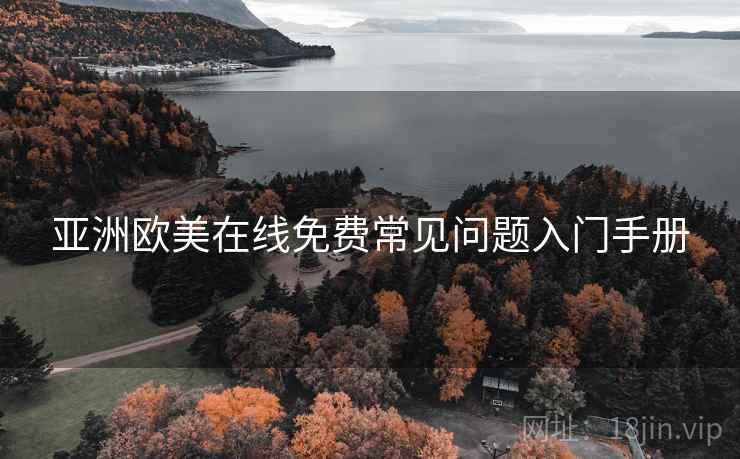 亚洲欧美在线免费常见问题入门手册