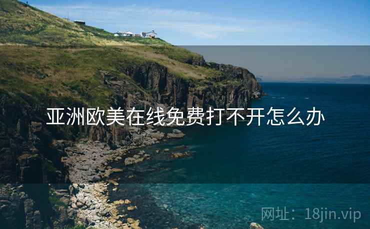 亚洲欧美在线免费打不开怎么办