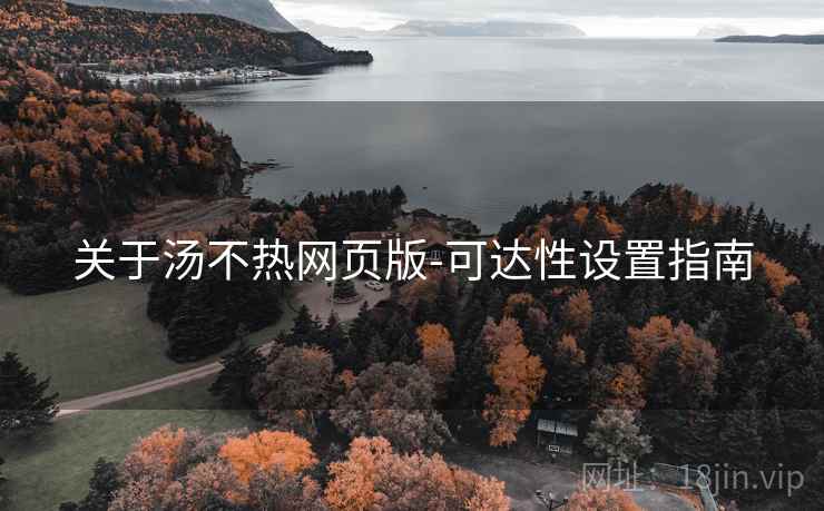 关于汤不热网页版-可达性设置指南