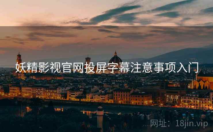 妖精影视官网投屏字幕注意事项入门